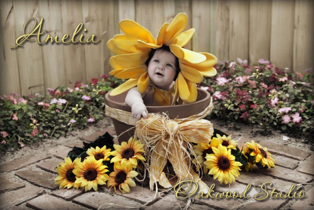  flower pot baby childrens portfolio oakwood studio